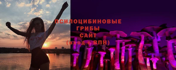 spice Вяземский