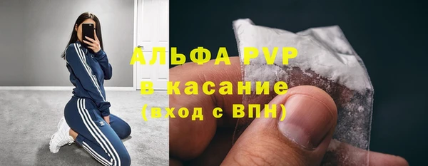 spice Вяземский