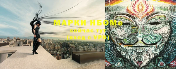 spice Вяземский