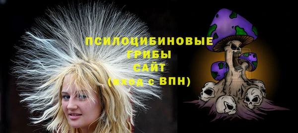 spice Вяземский