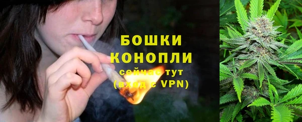 spice Вяземский