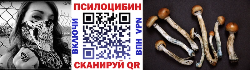 Купить  Андреаполь  Галлюциногенные грибы мицелий 